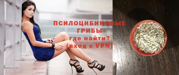ПСИЛОЦИБИНОВЫЕ ГРИБЫ Кодинск