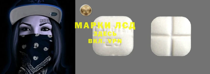 ПСИЛОЦИБИНОВЫЕ ГРИБЫ Кодинск