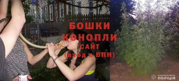 ПСИЛОЦИБИНОВЫЕ ГРИБЫ Кодинск