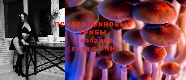 спиды Козловка